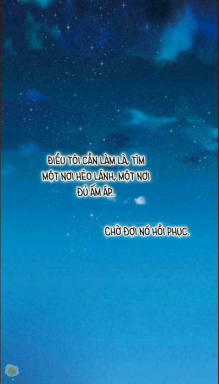 Nở Rộ Trên Bụi Gai Chapter 2 trang 22