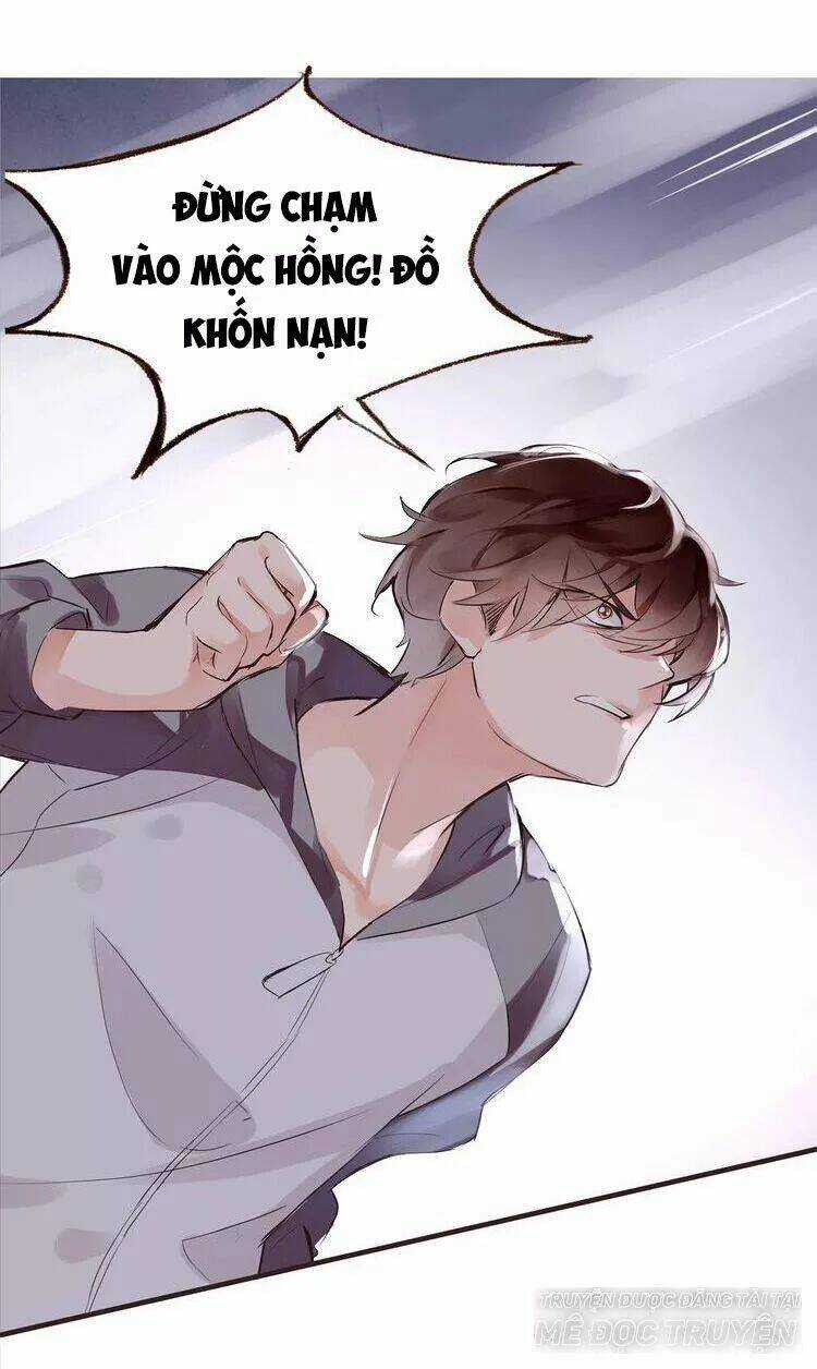 Nở Rộ Trên Bụi Gai Chapter 46 trang 5