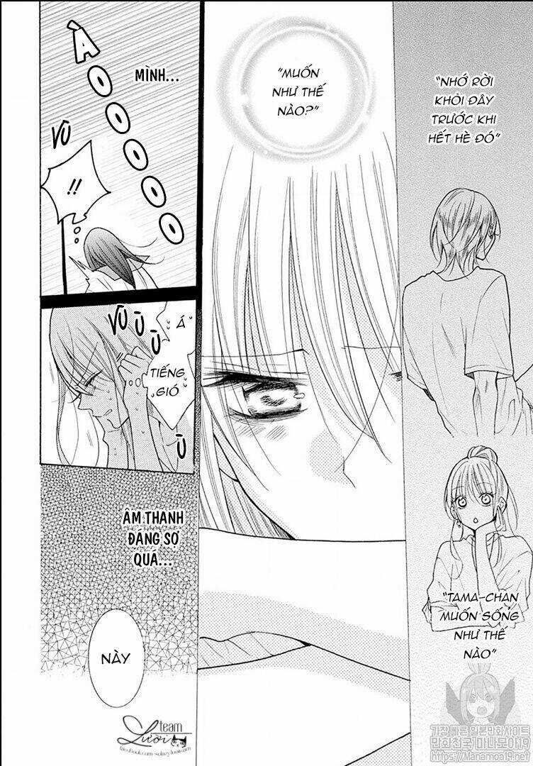 Noraneko to Ookami Chapter 2 trang 31