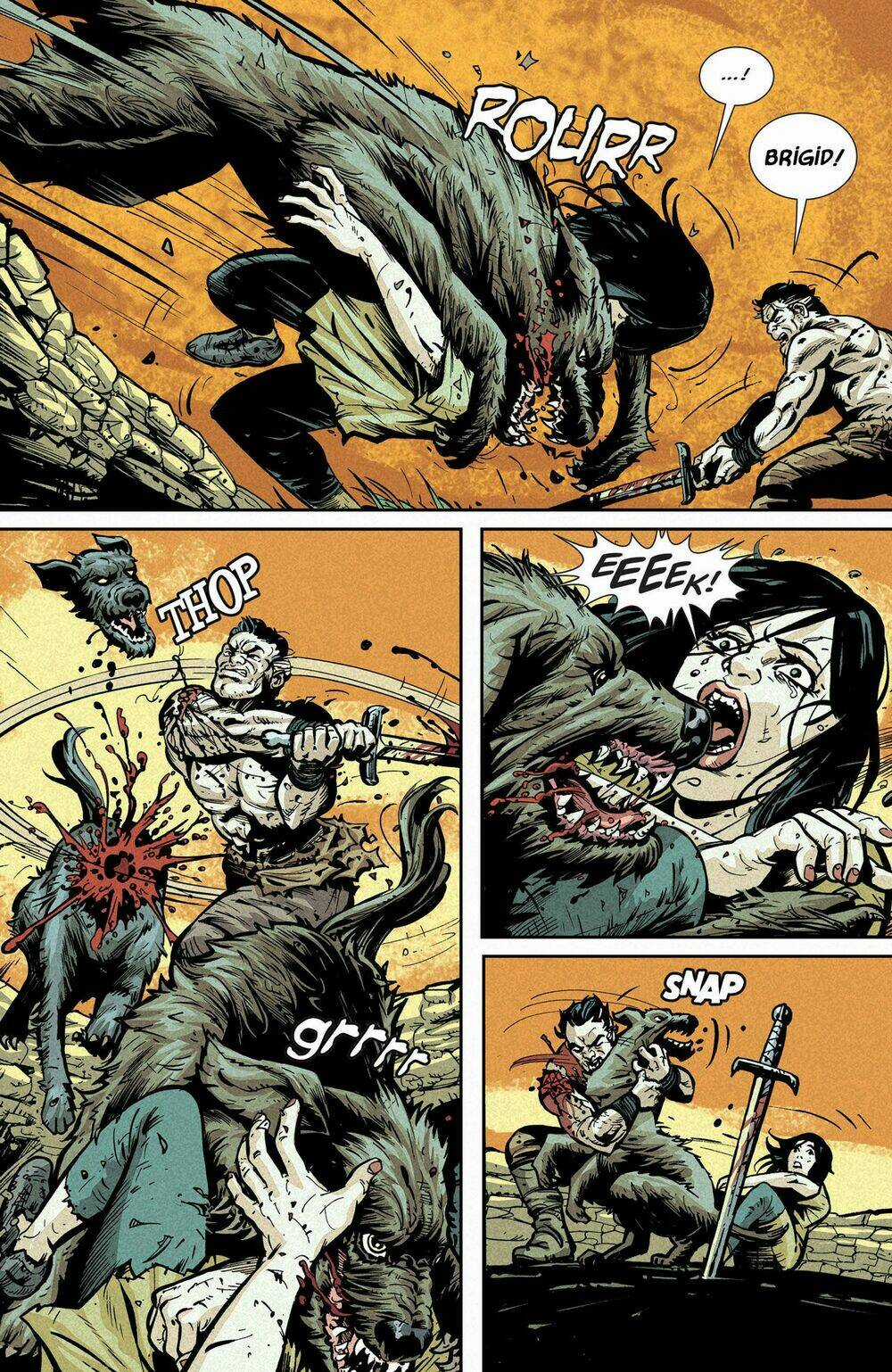 Northlanders Chapter 11 trang 14