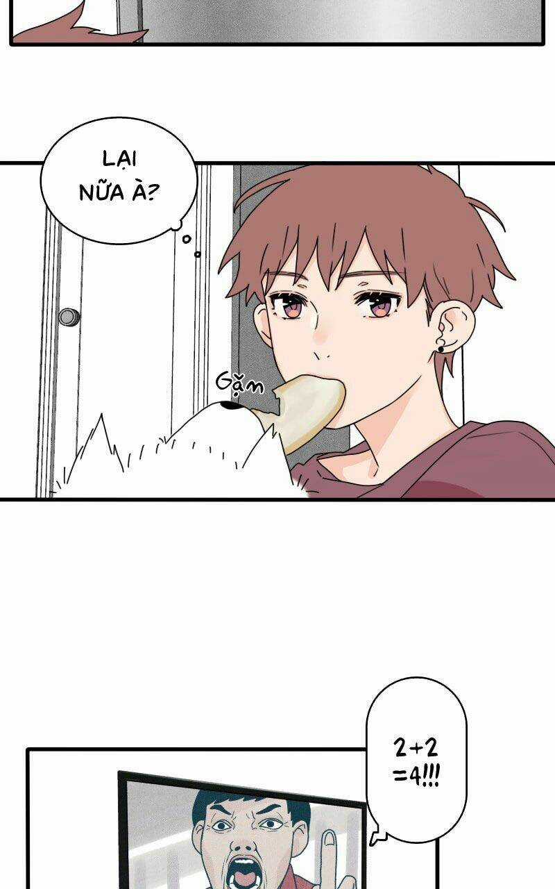 Not So Shoujo Love Story Chapter 16 trang 18