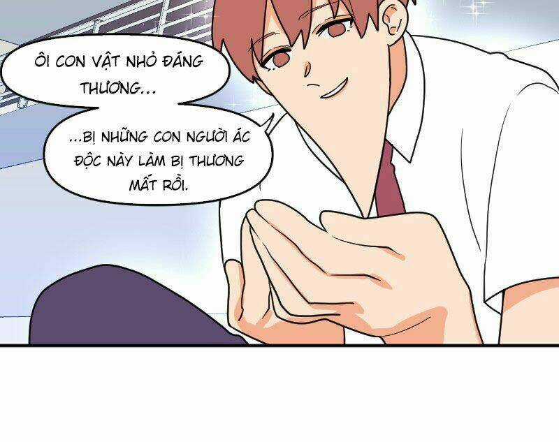 Not So Shoujo Love Story Chapter 19 trang 39