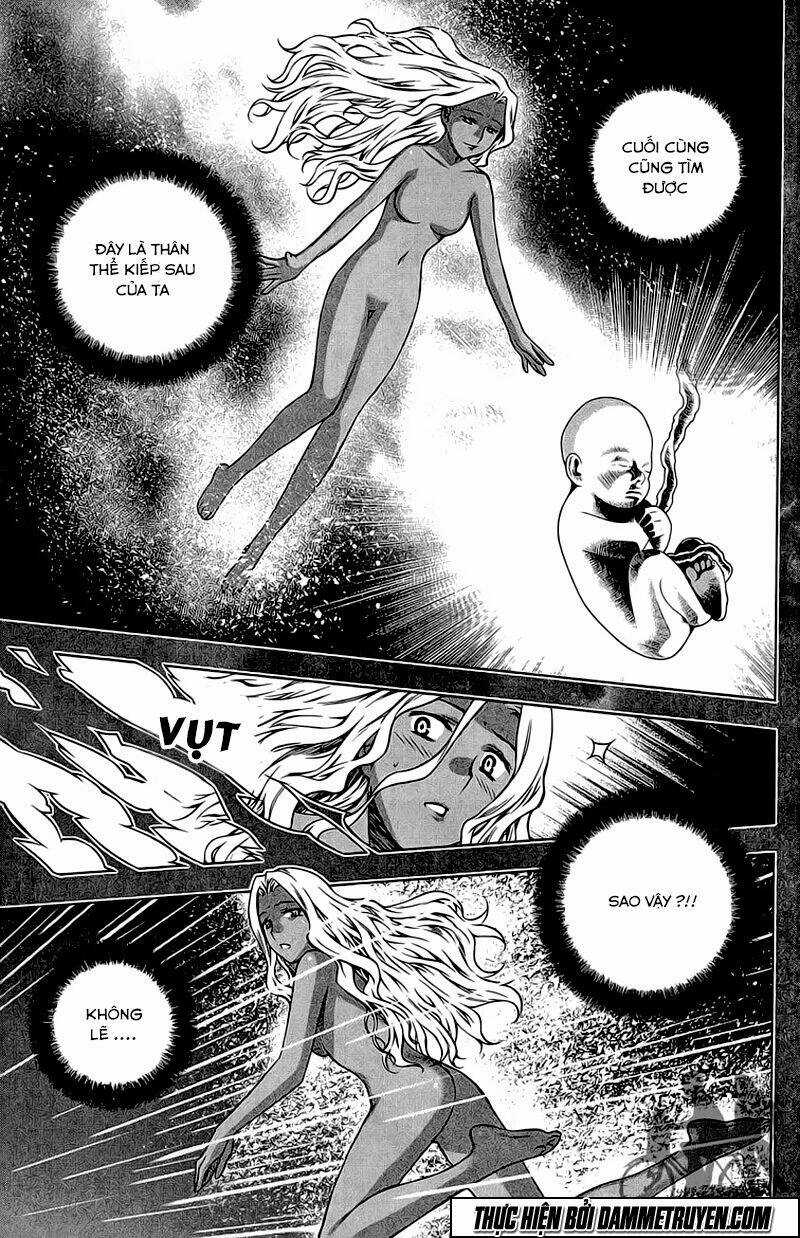 Now Chapter 177 trang 13