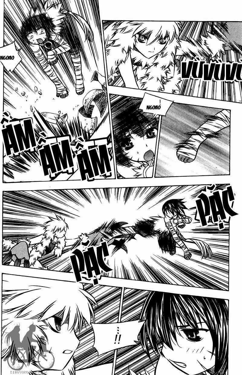 Now Chapter 40 trang 13