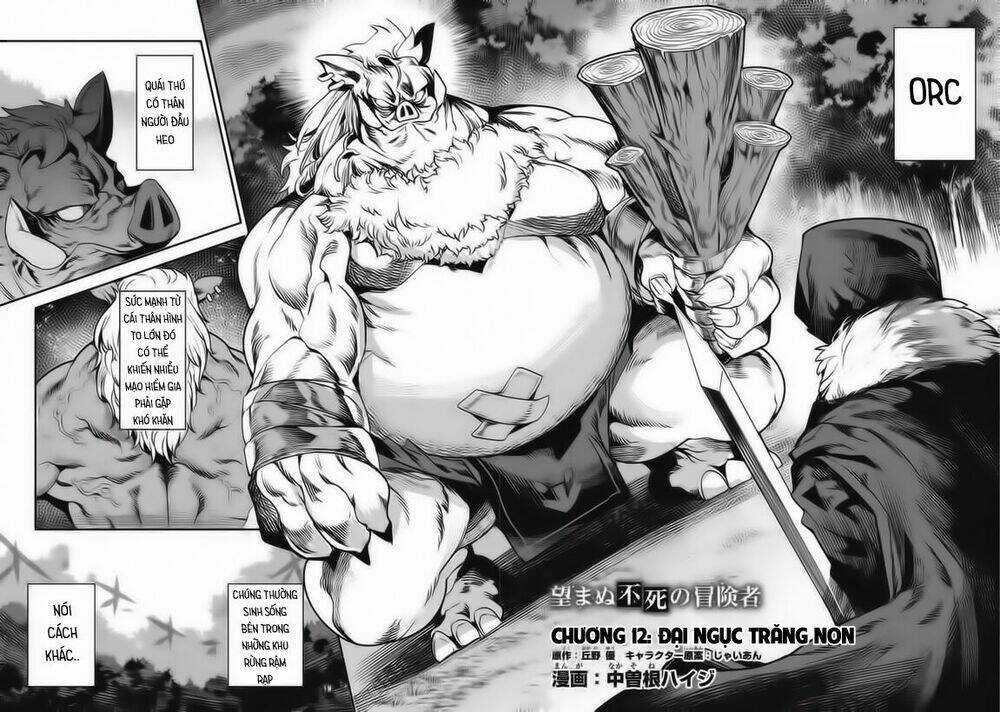 Nozomanu Fushi no Boukensha Chapter 12 trang 3