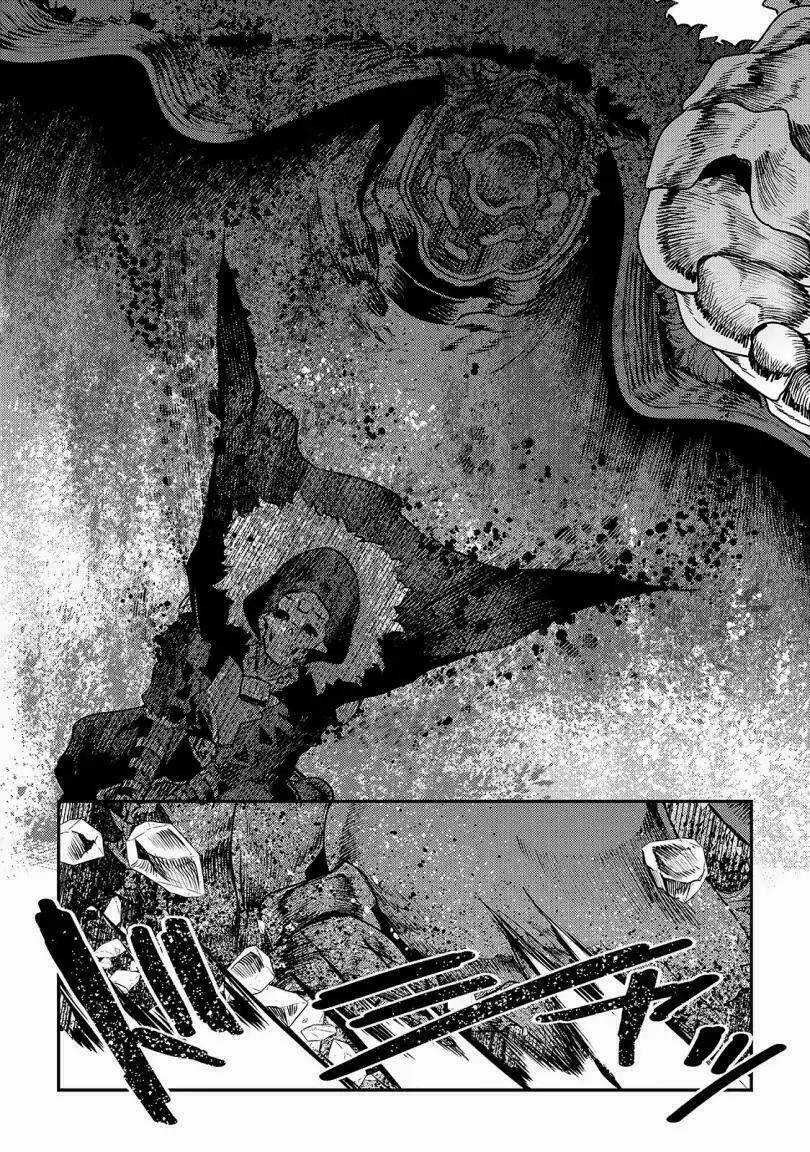 Nozomanu Fushi no Boukensha Chapter 22 trang 8