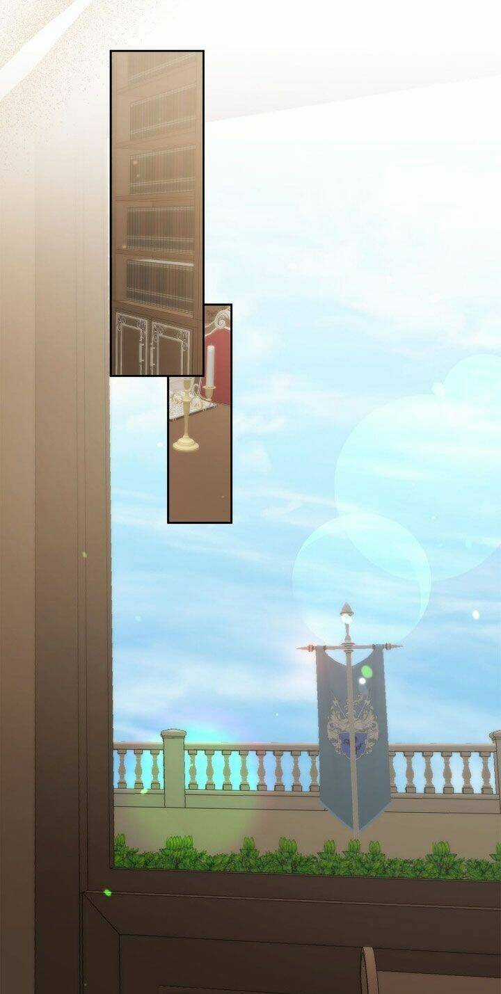 Nữ Chính Bỏ Trốn Ở Nhà Bên Chapter 16 trang 36