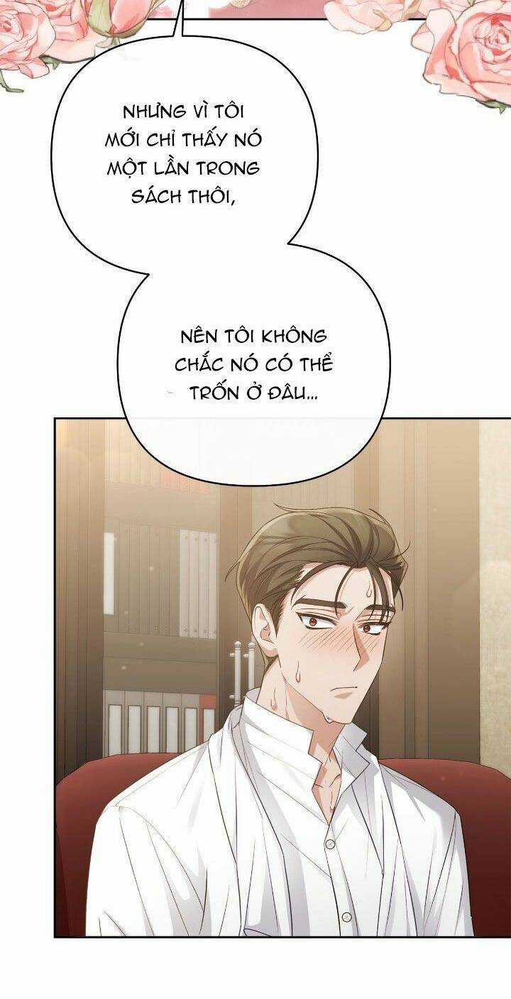 Nữ Chính Bỏ Trốn Ở Nhà Bên Chapter 22 trang 46