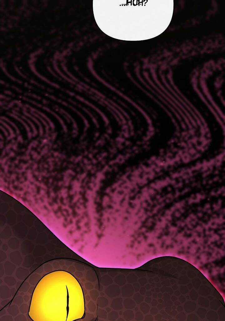 Nữ Chính Bỏ Trốn Ở Nhà Bên Chapter 24 trang 28