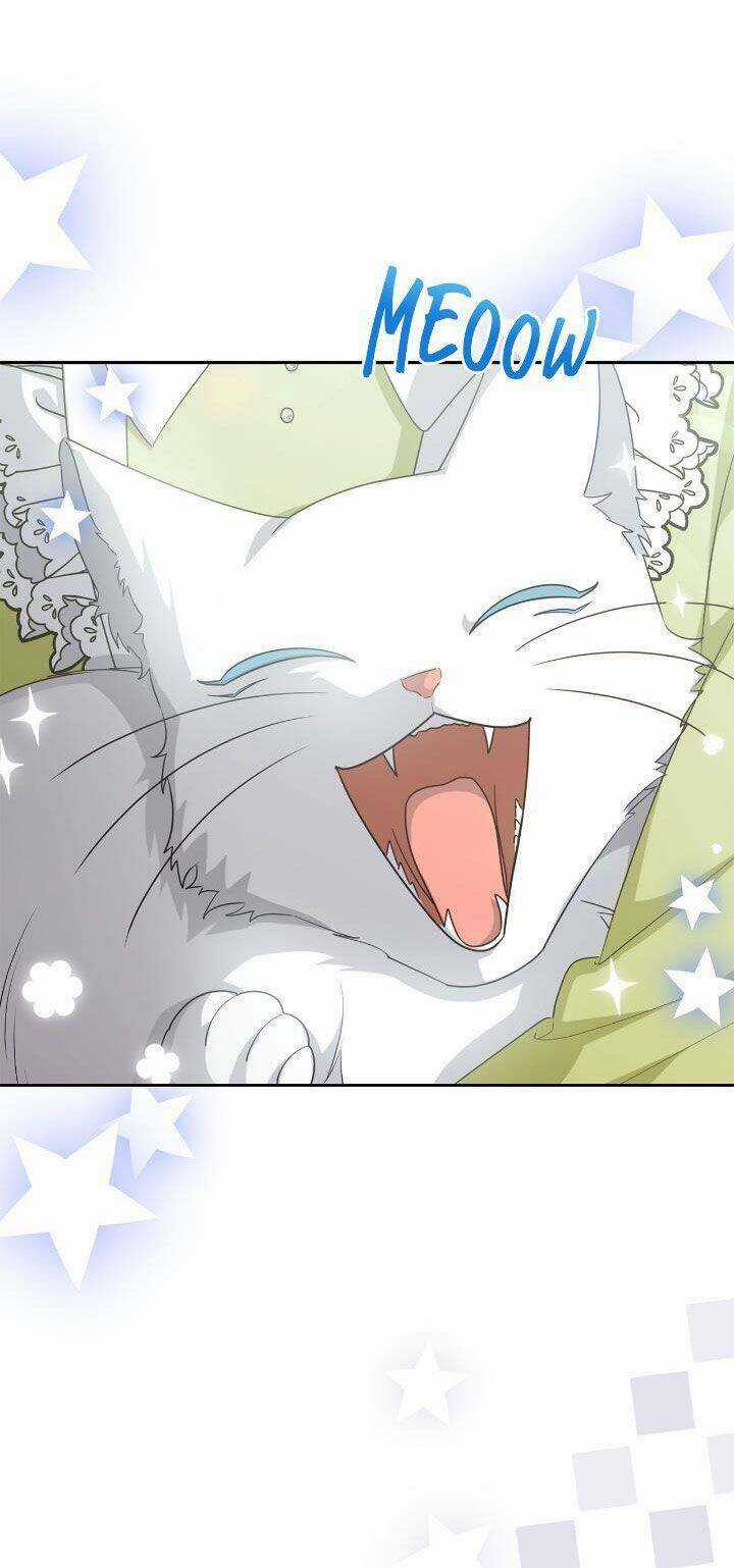 Nữ Chính Bỏ Trốn Ở Nhà Bên Chapter 31 trang 39