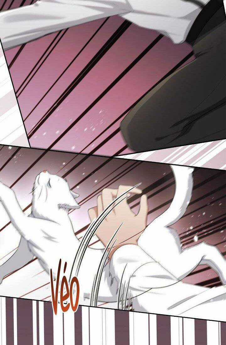 Nữ Chính Bỏ Trốn Ở Nhà Bên Chapter 31 trang 49
