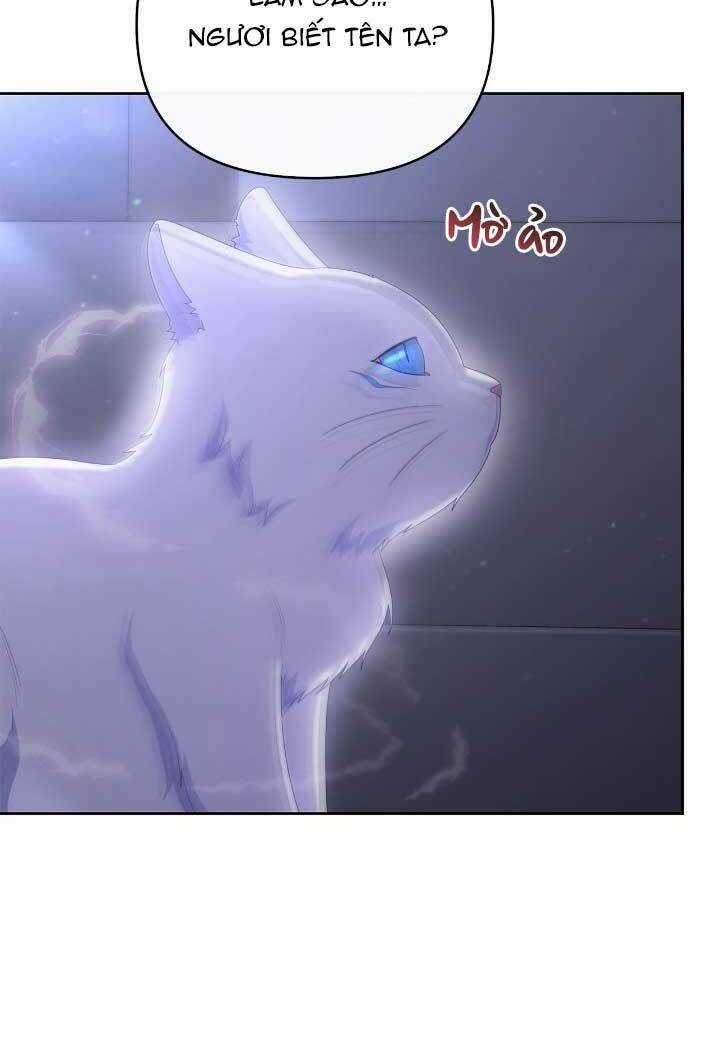 Nữ Chính Bỏ Trốn Ở Nhà Bên Chapter 32 trang 47