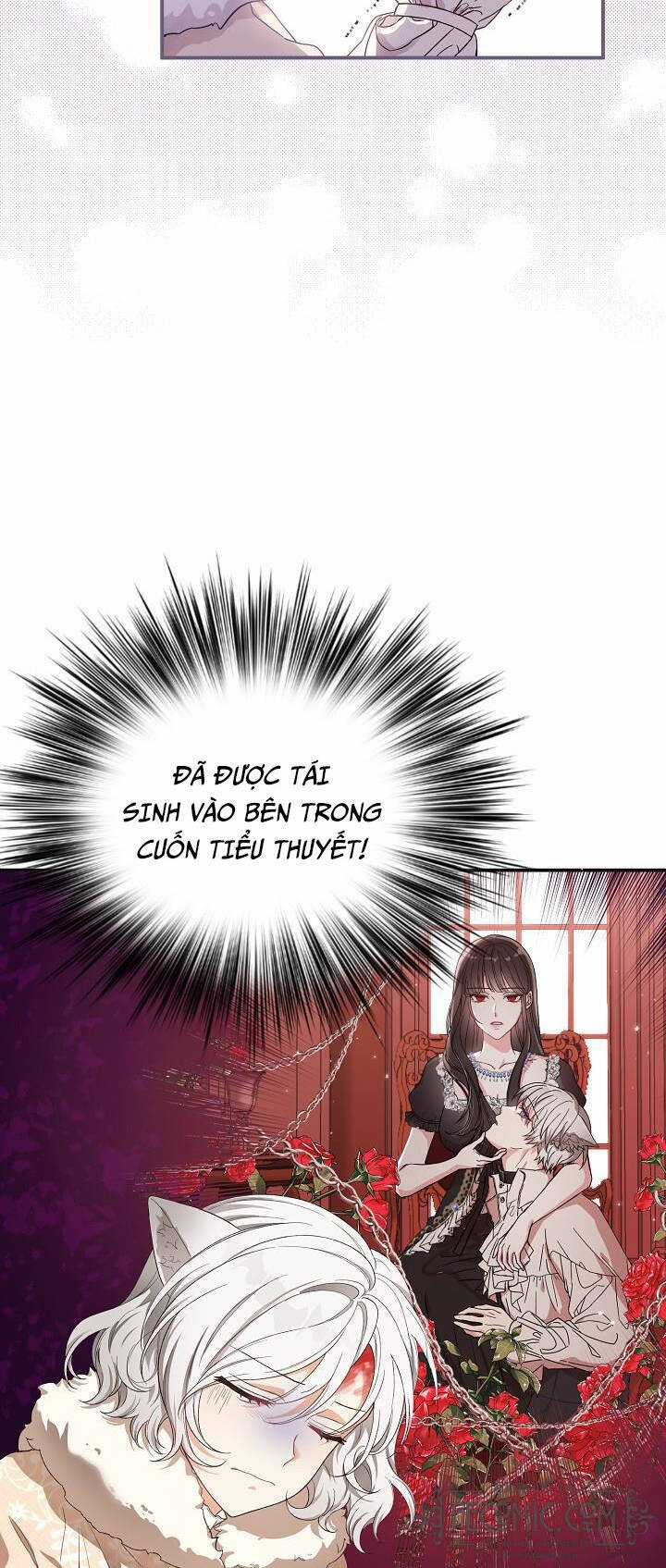 Nữ Chính Muốn Tôi Trở Thành Chị Dâu Của Cô Ấy Chapter 1 trang 35