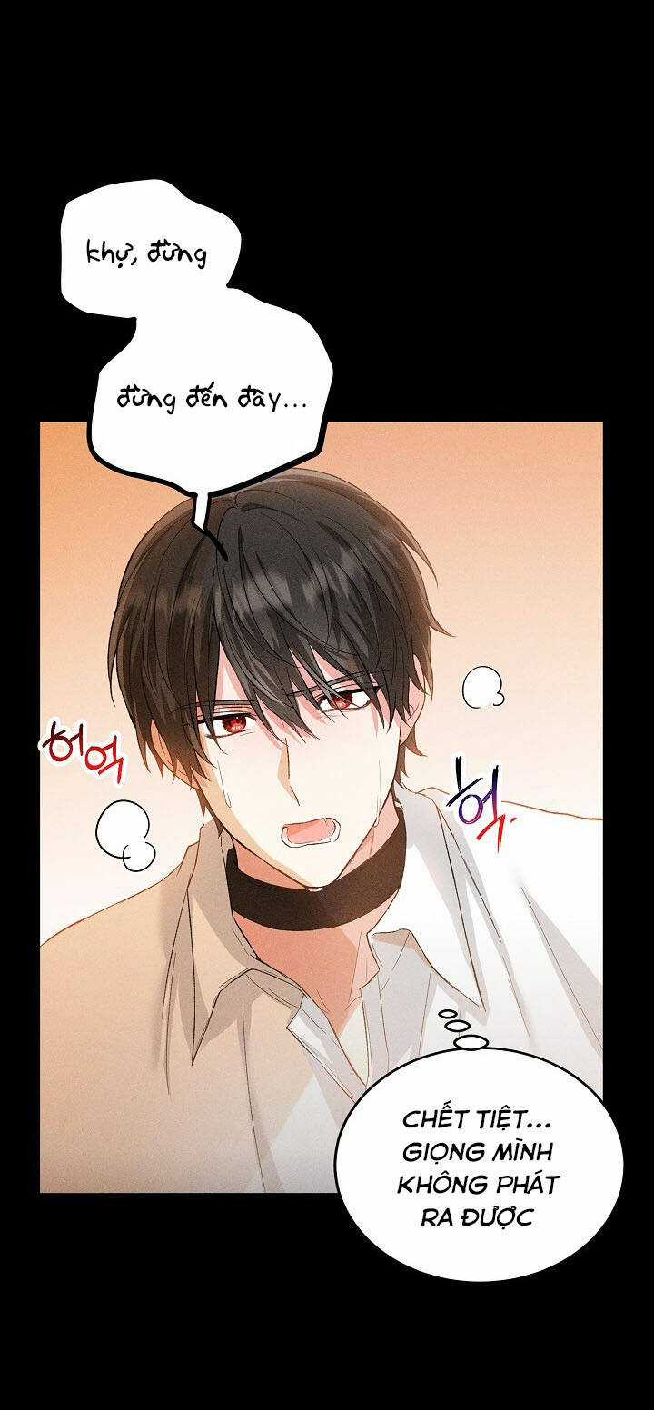 Nữ Chính Muốn Tôi Trở Thành Chị Dâu Của Cô Ấy Chapter 14 trang 8