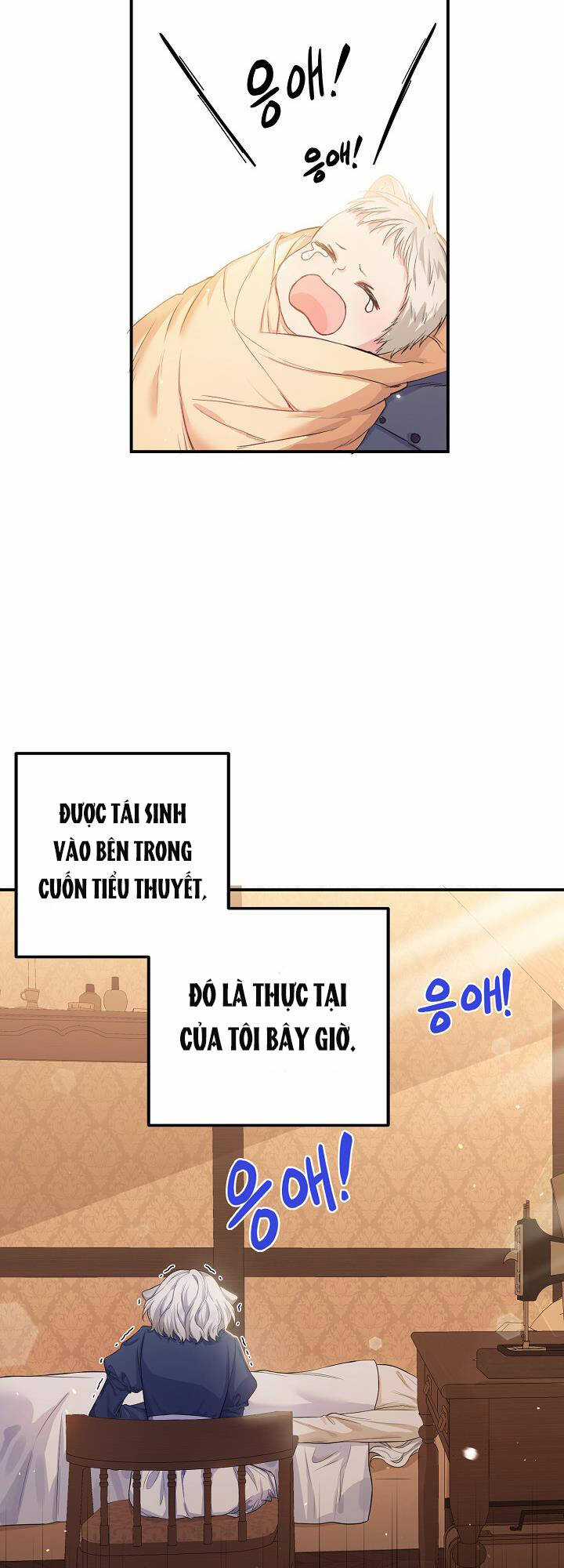Nữ Chính Muốn Tôi Trở Thành Chị Dâu Của Cô Ấy Chapter 2 trang 23