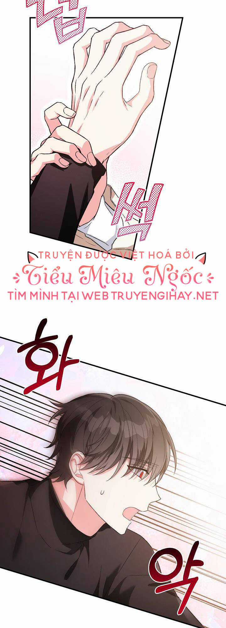 Nữ Chính Muốn Tôi Trở Thành Chị Dâu Của Cô Ấy Chapter 22 trang 17