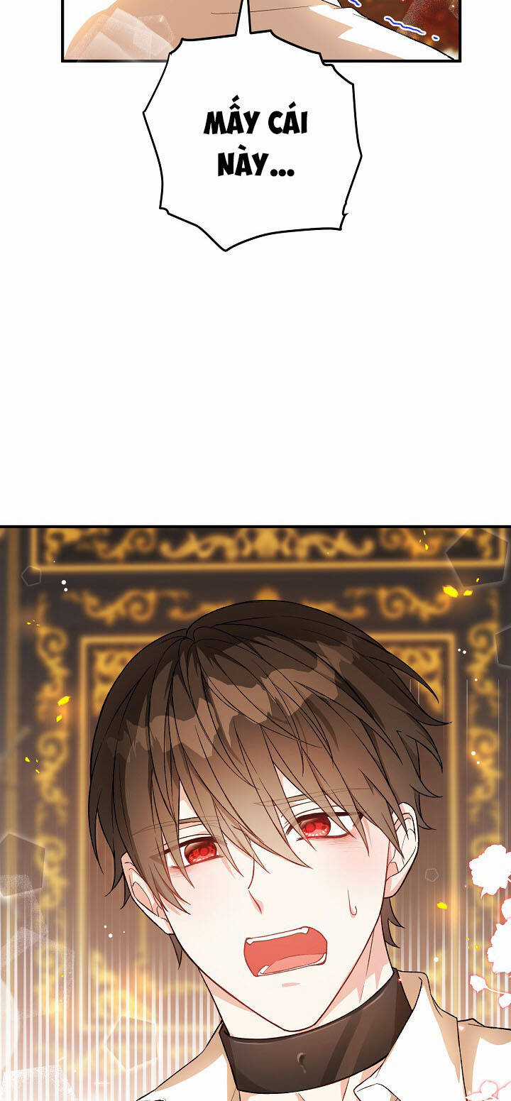 Nữ Chính Muốn Tôi Trở Thành Chị Dâu Của Cô Ấy Chapter 23 trang 53