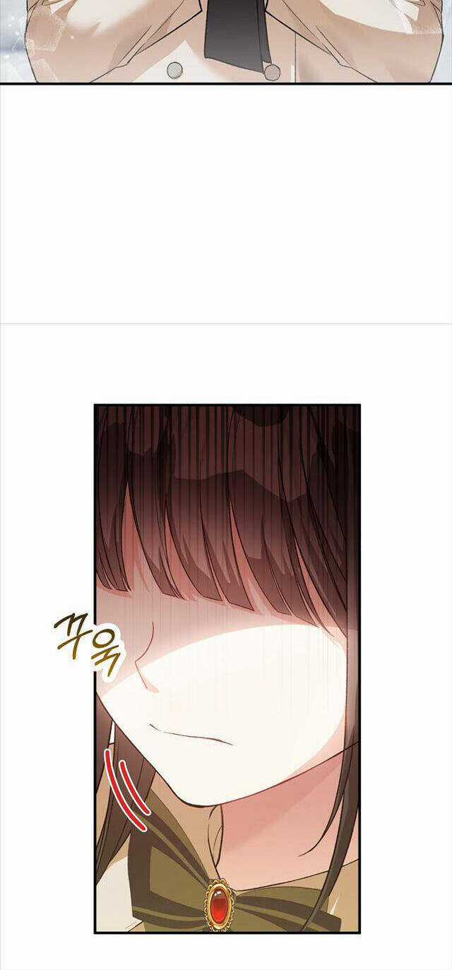 Nữ Chính Muốn Tôi Trở Thành Chị Dâu Của Cô Ấy Chapter 26 trang 29