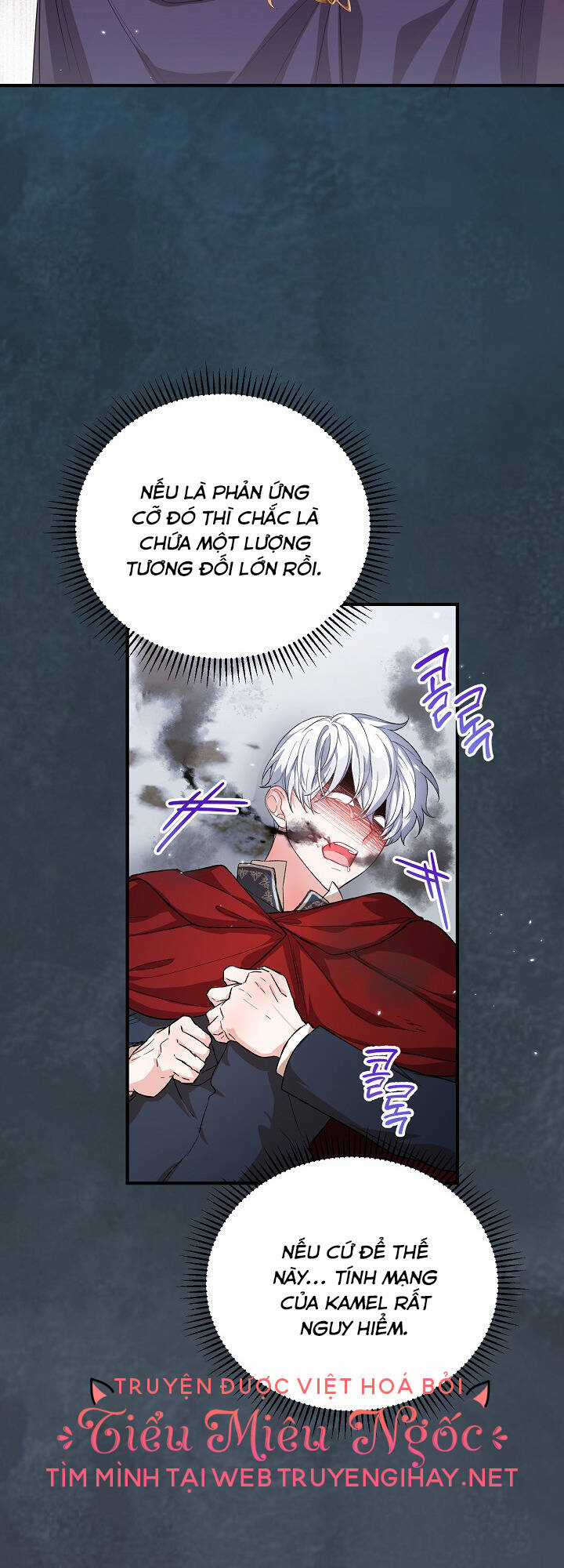 Nữ Chính Muốn Tôi Trở Thành Chị Dâu Của Cô Ấy Chapter 27 trang 15