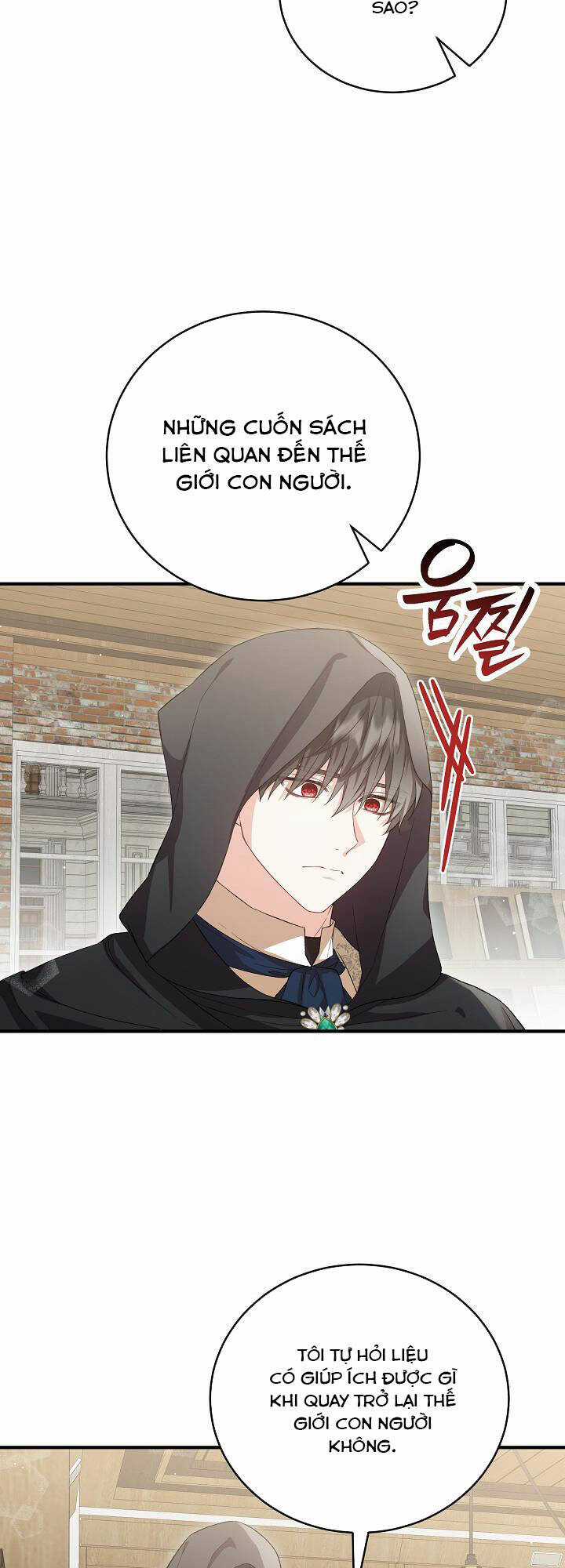 Nữ Chính Muốn Tôi Trở Thành Chị Dâu Của Cô Ấy Chapter 29 trang 17