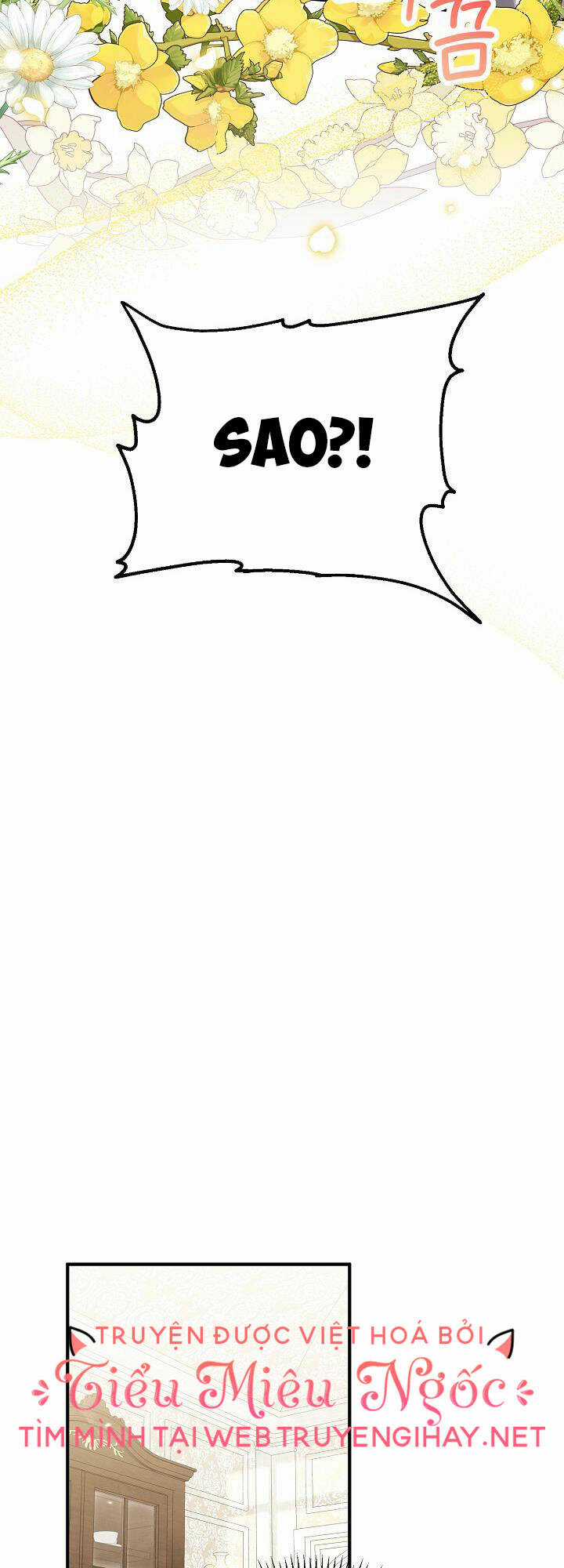 Nữ Chính Muốn Tôi Trở Thành Chị Dâu Của Cô Ấy Chapter 29 trang 27