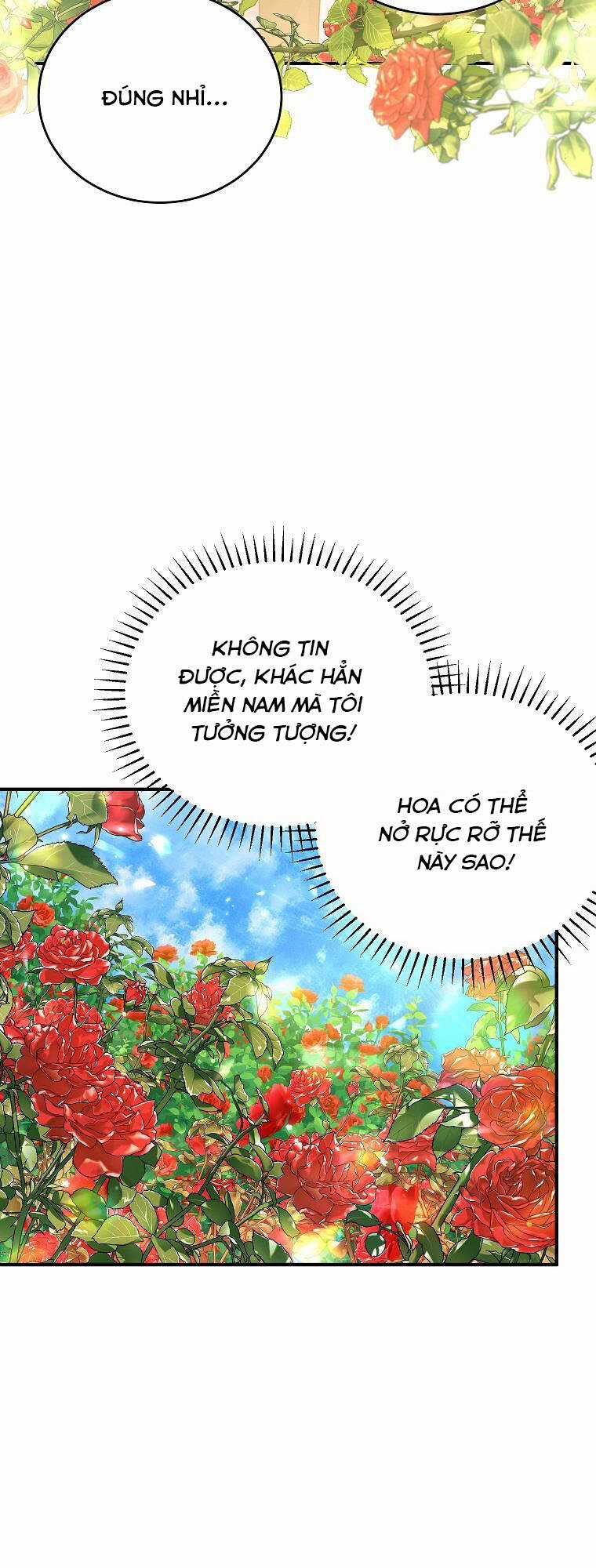 Nữ Chính Muốn Tôi Trở Thành Chị Dâu Của Cô Ấy Chapter 34 trang 29