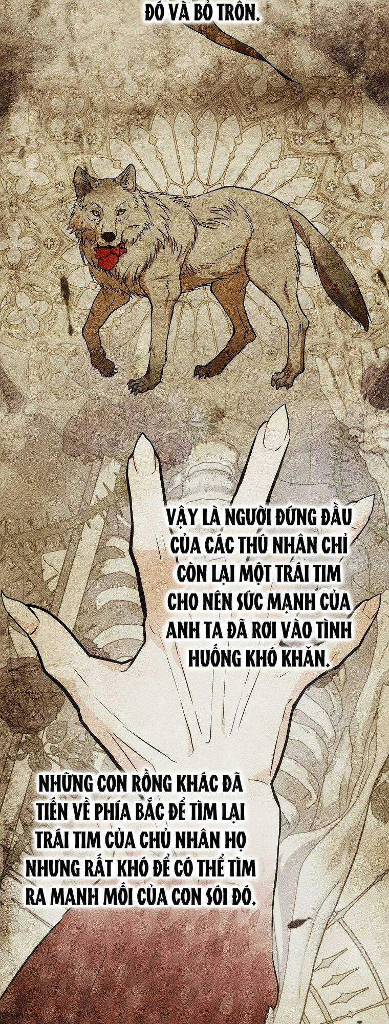 Nữ Chính Muốn Tôi Trở Thành Chị Dâu Của Cô Ấy Chapter 35 trang 11