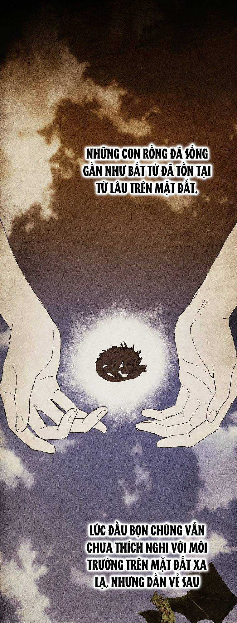 Nữ Chính Muốn Tôi Trở Thành Chị Dâu Của Cô Ấy Chapter 35 trang 6