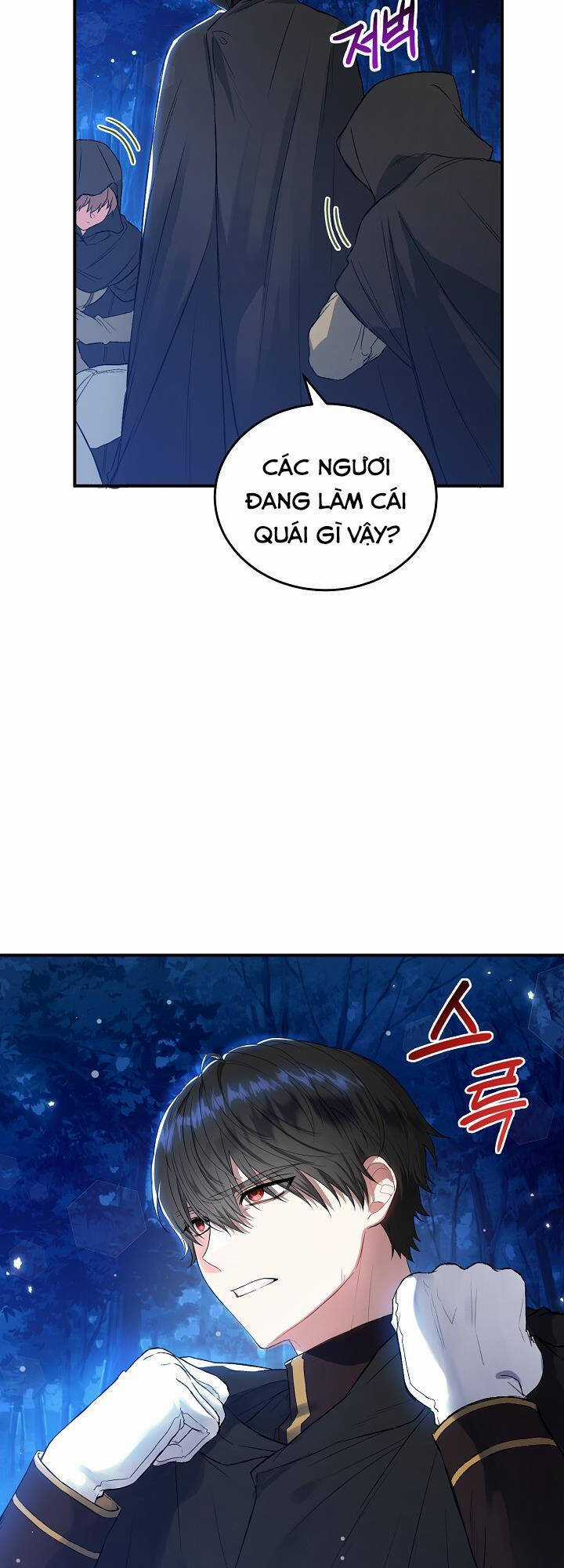 Nữ Chính Muốn Tôi Trở Thành Chị Dâu Của Cô Ấy Chapter 4 trang 5