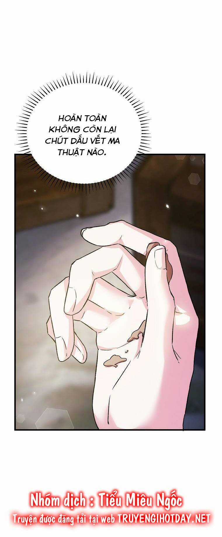 Nữ Chính Muốn Tôi Trở Thành Chị Dâu Của Cô Ấy Chapter 40 trang 3