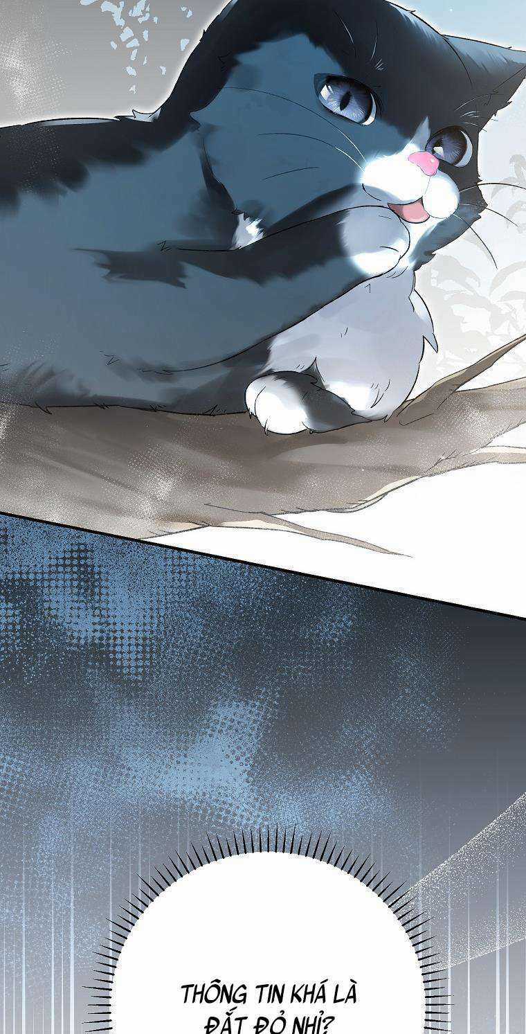 Nữ Chính Muốn Tôi Trở Thành Chị Dâu Của Cô Ấy Chapter 41 trang 68