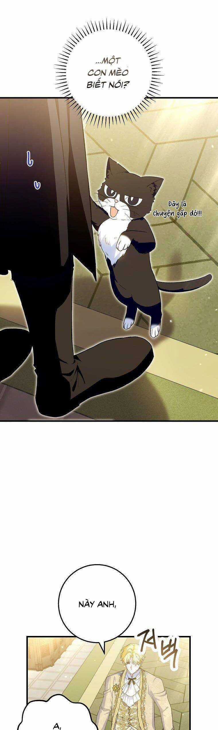 Nữ Chính Muốn Tôi Trở Thành Chị Dâu Của Cô Ấy Chapter 48 trang 41