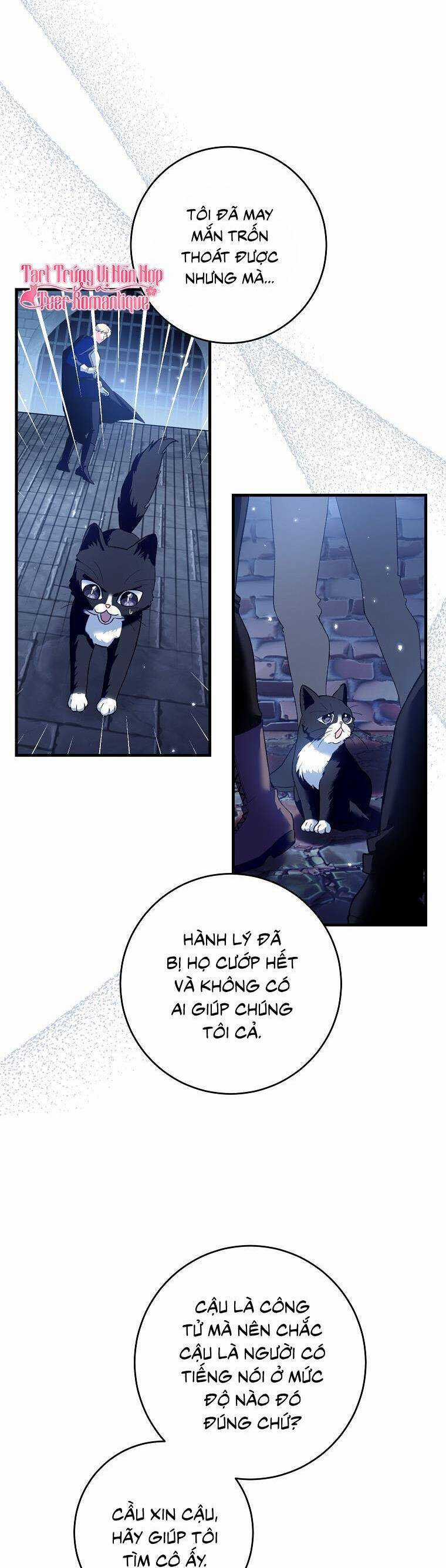 Nữ Chính Muốn Tôi Trở Thành Chị Dâu Của Cô Ấy Chapter 49 trang 2