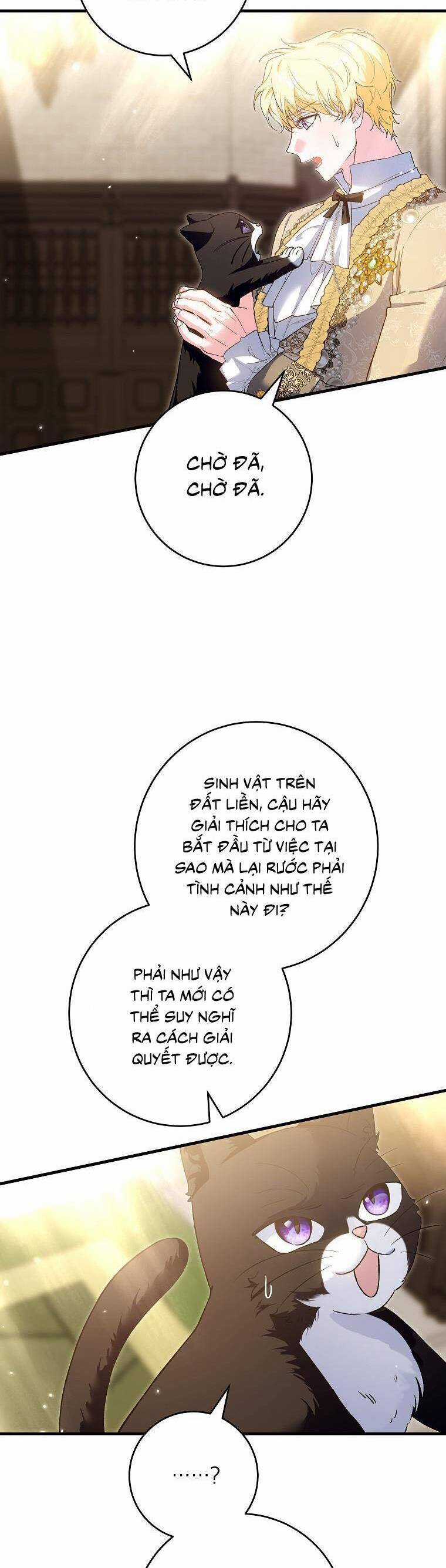 Nữ Chính Muốn Tôi Trở Thành Chị Dâu Của Cô Ấy Chapter 49 trang 3