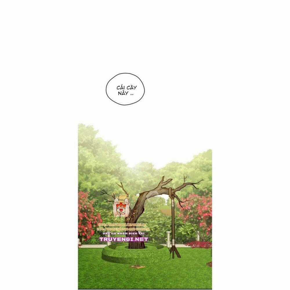 Nữ Chính Muốn Tôi Trở Thành Mẹ Kế Chapter 12 trang 1