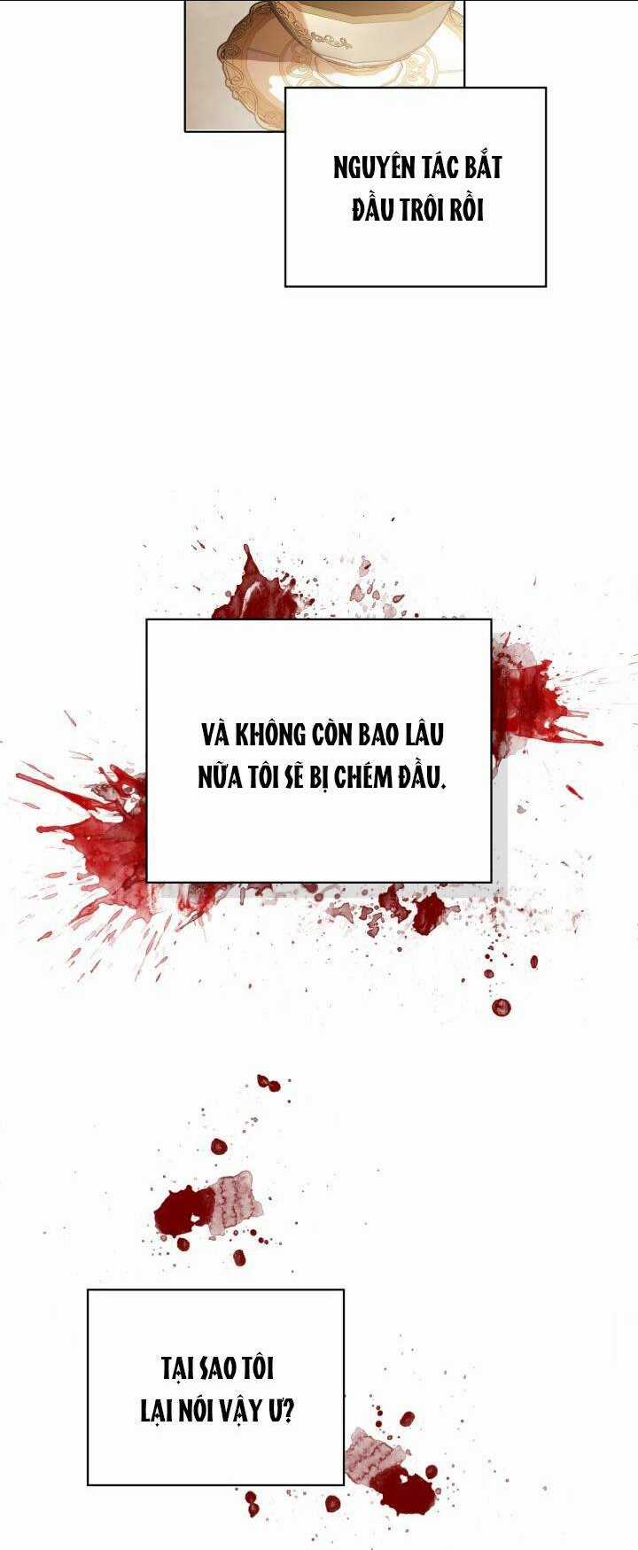 Nữ Chính Ngoại Tình Với Vị Hôn Phu Của Tôi Chapter 1 trang 19