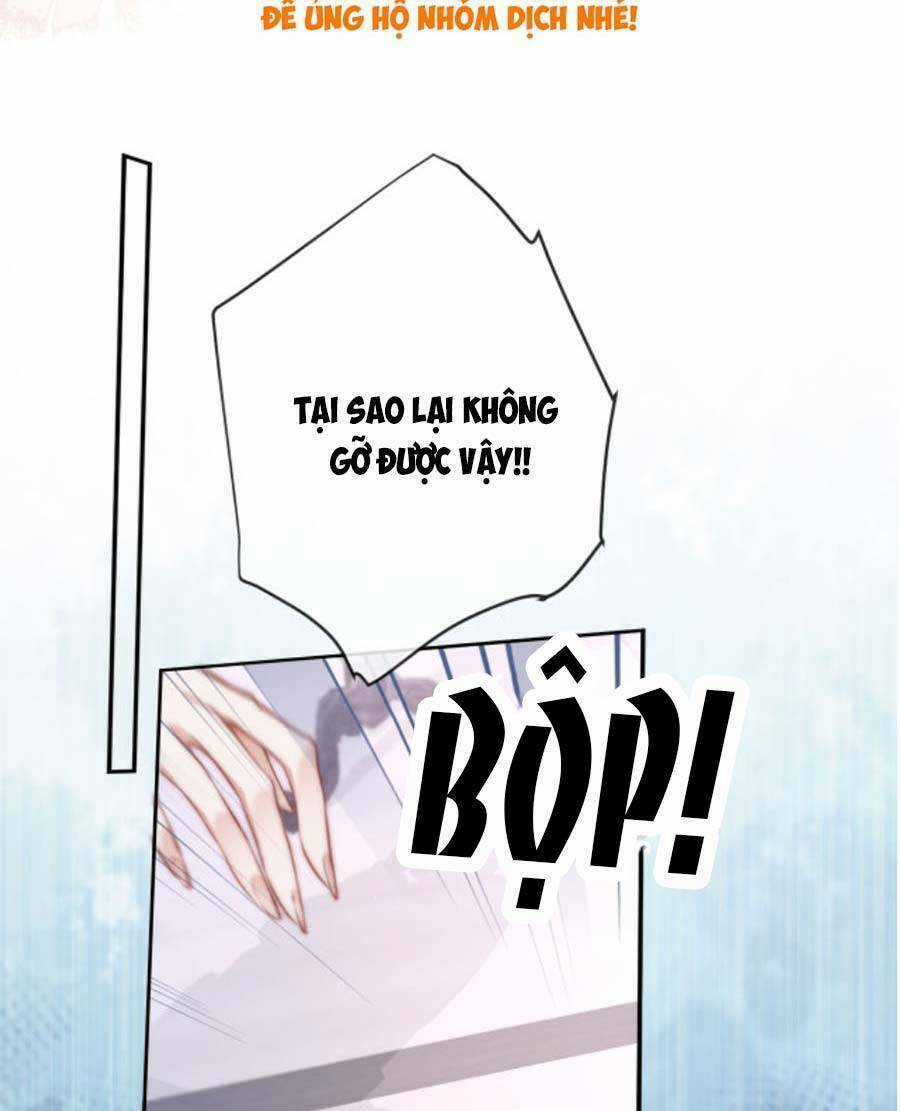 Nữ Cố Vấn Quyền Lực Trong Showbiz Chapter 10 trang 12