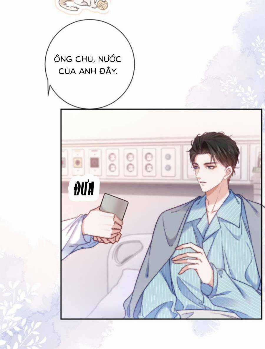 Nữ Cố Vấn Quyền Lực Trong Showbiz Chapter 11 trang 25