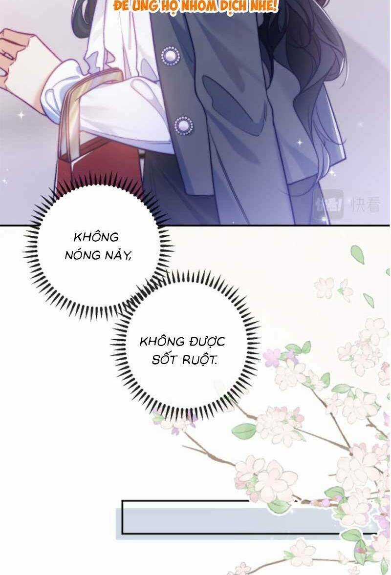 Nữ Cố Vấn Quyền Lực Trong Showbiz Chapter 12 trang 15