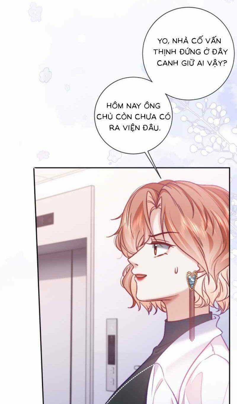 Nữ Cố Vấn Quyền Lực Trong Showbiz Chapter 12 trang 32