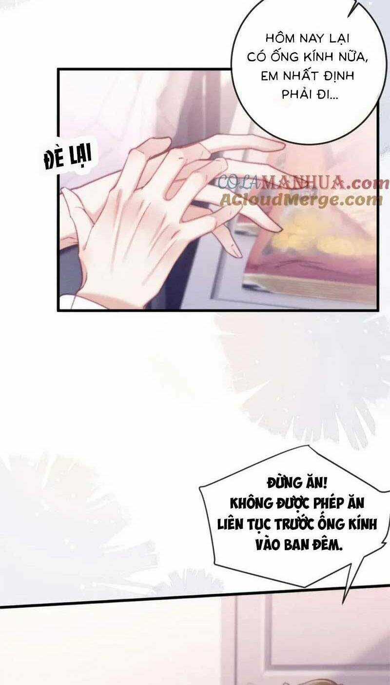 Nữ Cố Vấn Quyền Lực Trong Showbiz Chapter 17 trang 25