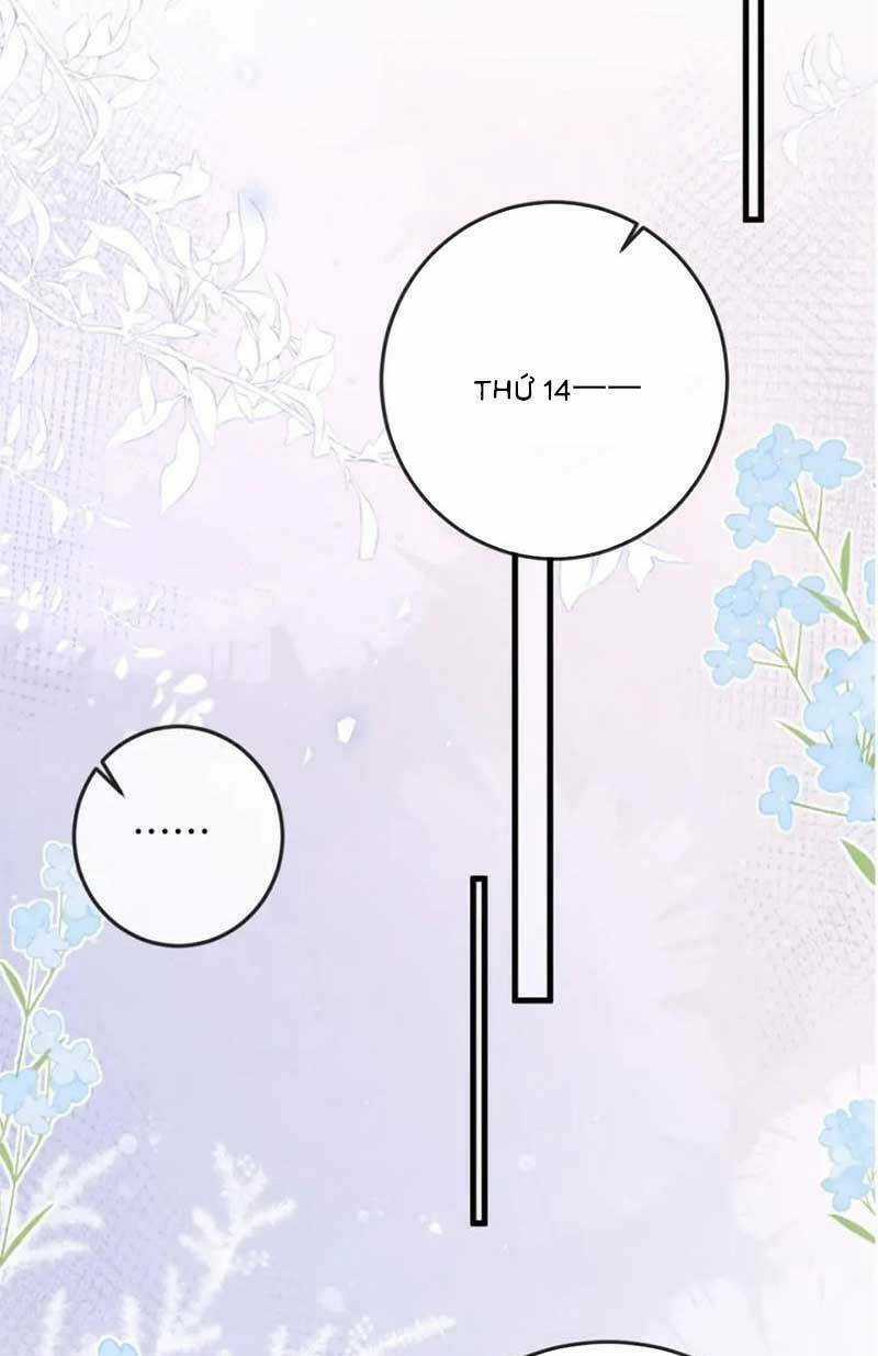 Nữ Cố Vấn Quyền Lực Trong Showbiz Chapter 18 trang 12