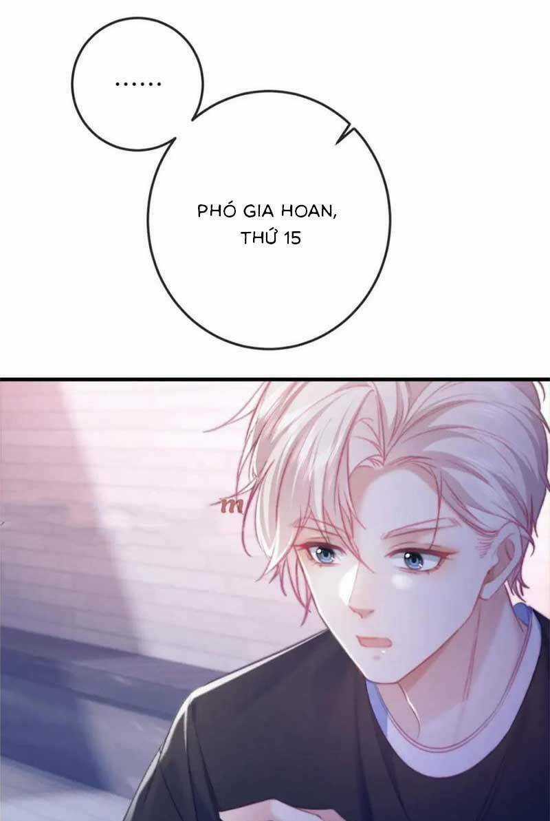 Nữ Cố Vấn Quyền Lực Trong Showbiz Chapter 18 trang 6