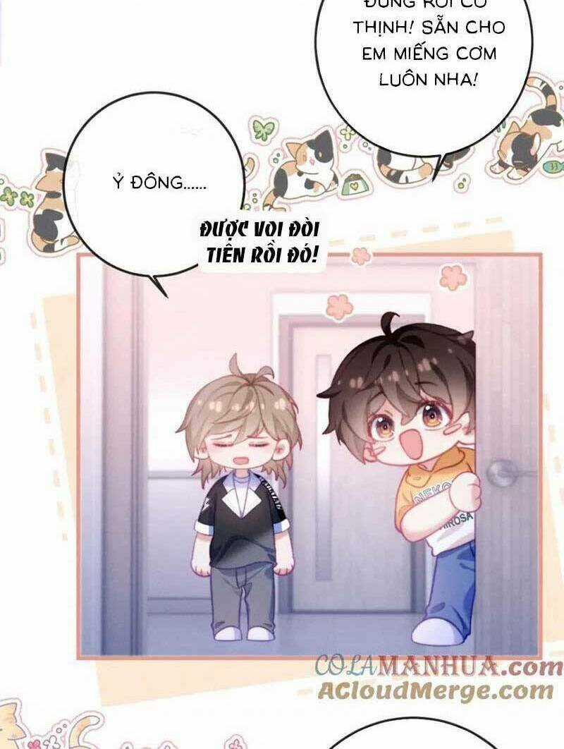 Nữ Cố Vấn Quyền Lực Trong Showbiz Chapter 19 trang 3