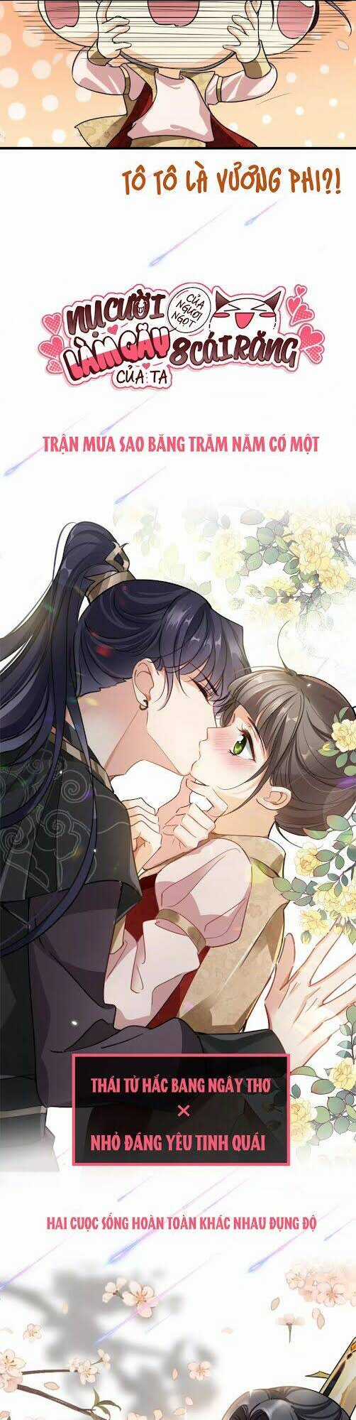 Nụ Cười Của Ngươi Ngọt Đến Mức Làm Gãy Tám Cái Răng Của Ta Chapter 0 trang 11