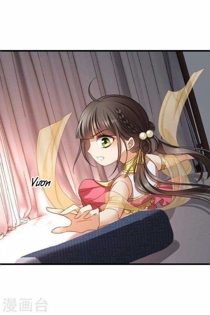 Nụ Cười Của Ngươi Ngọt Đến Mức Làm Gãy Tám Cái Răng Của Ta Chapter 55 trang 5