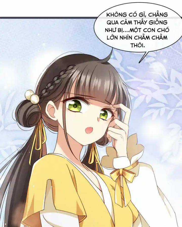 Nụ Cười Của Ngươi Ngọt Đến Mức Làm Gãy Tám Cái Răng Của Ta Chapter 96 trang 69