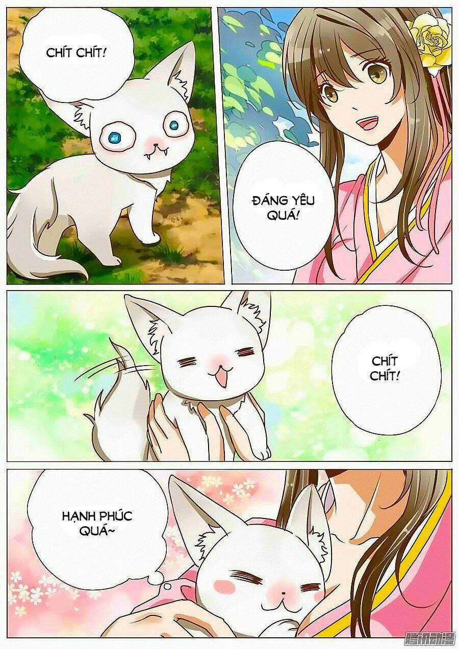 Nữ Đặc Công Thăng Chức Ký Chapter 31 trang 5