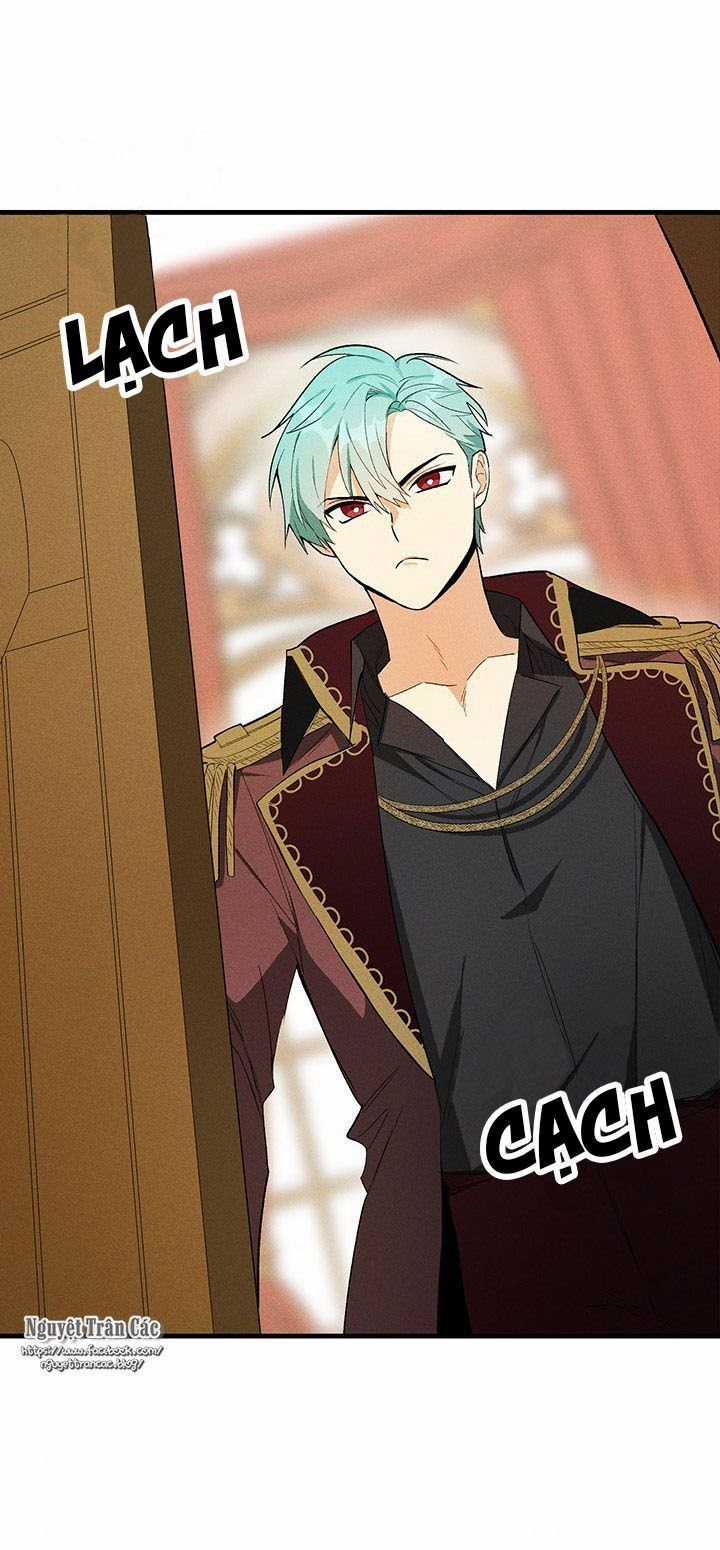 Nữ Đầu Bếp Hoàng Gia Cải tạo bếp Chapter 26 trang 2