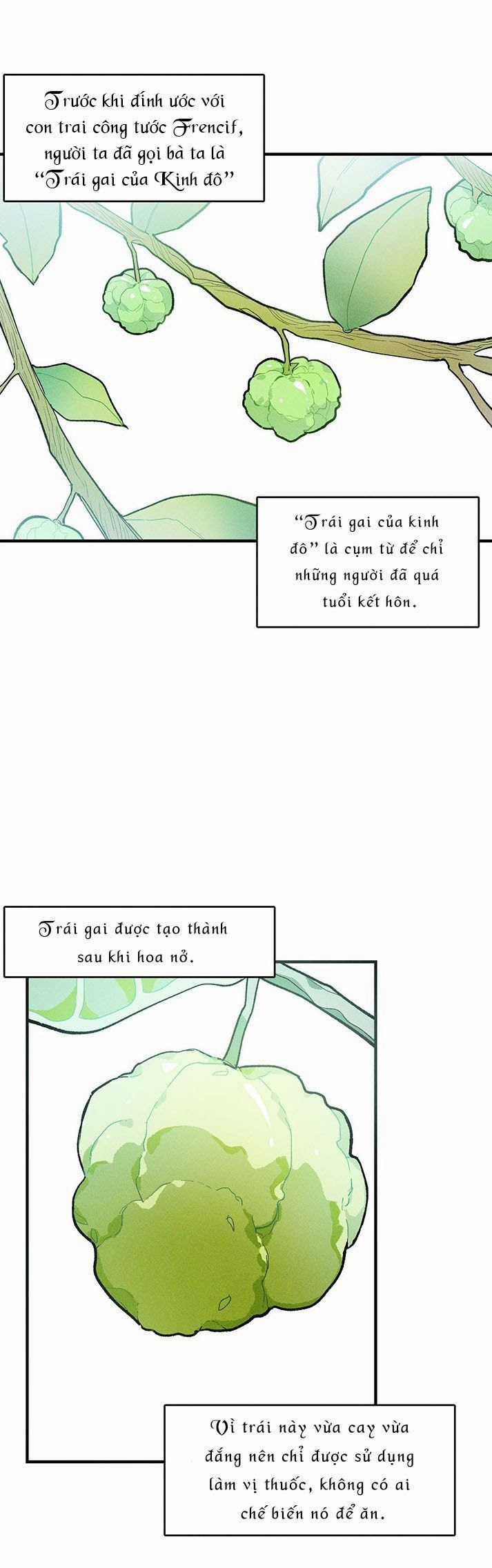 Nữ Đầu Bếp Hoàng Gia Chapter 12 trang 33